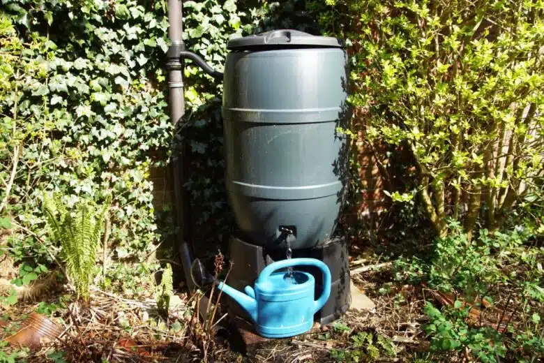 Un récupérateur d'eau de pluie et un arrosoir.