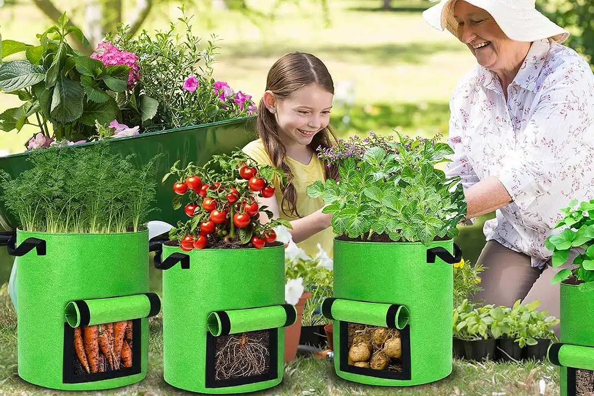 Une grand-mère et sa petite fille cultivent des plantes en sacs.