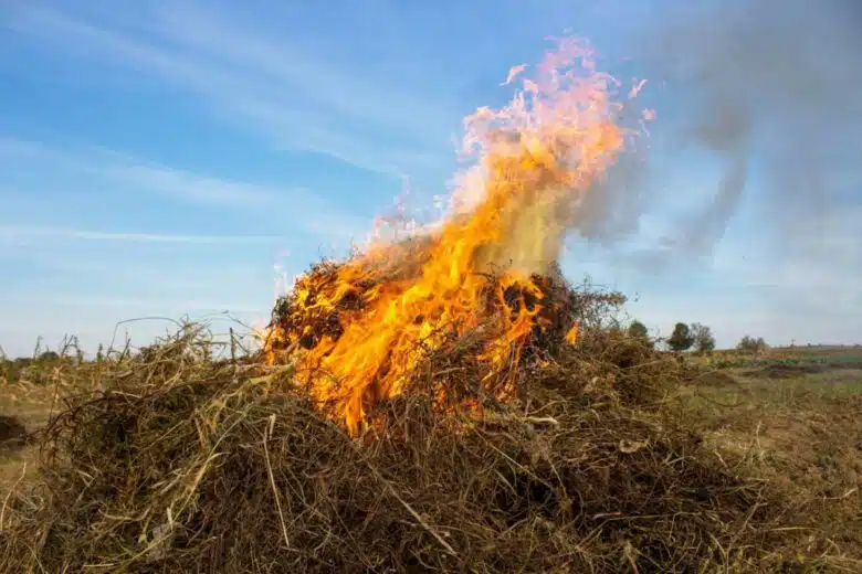 Un feu de déchets végétaux dans le jardin.