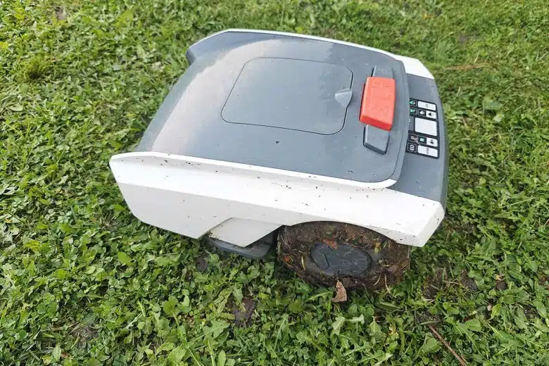 Un robot tondeuse dans le jardin.