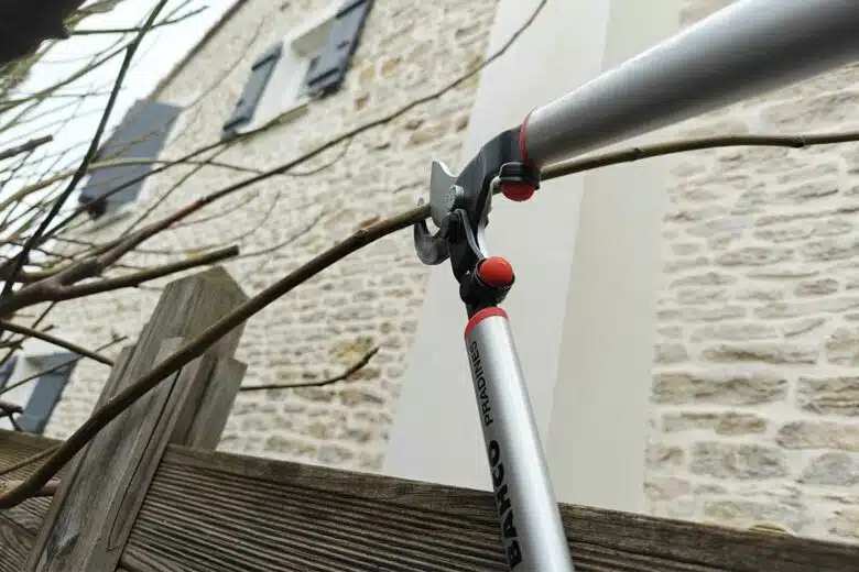 Des branches d'arbre coupées avec un coupe branche.