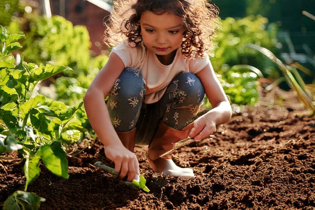 Une enfant sème des plantes dans un potager.