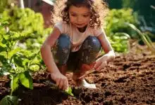 Une enfant sème des plantes dans un potager.