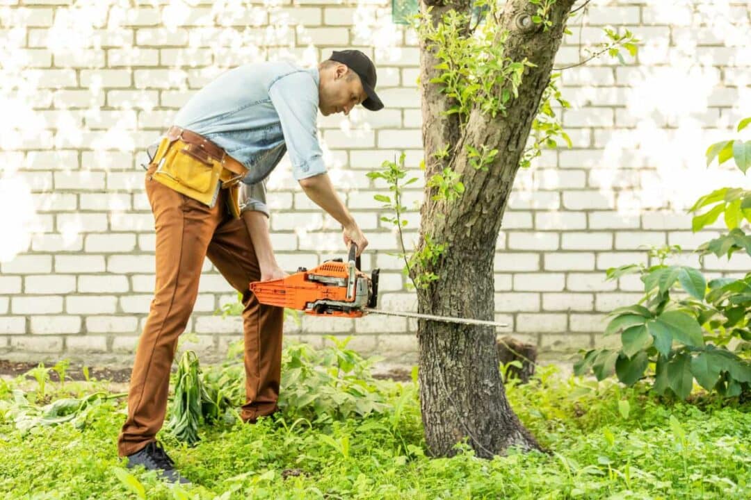 Un homme coupe un arbre avec une tronçonneuse.