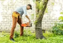 Un homme coupe un arbre avec une tronçonneuse.