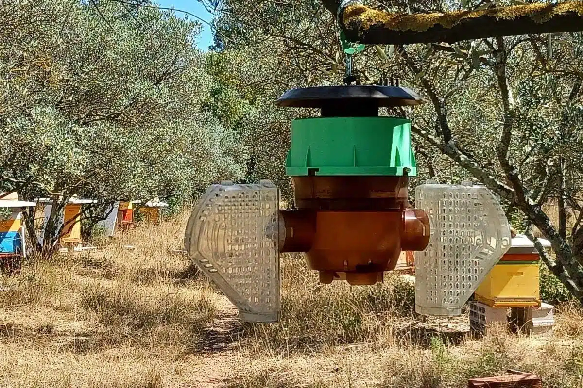 Un piège à frelon asiatique BeeVital.