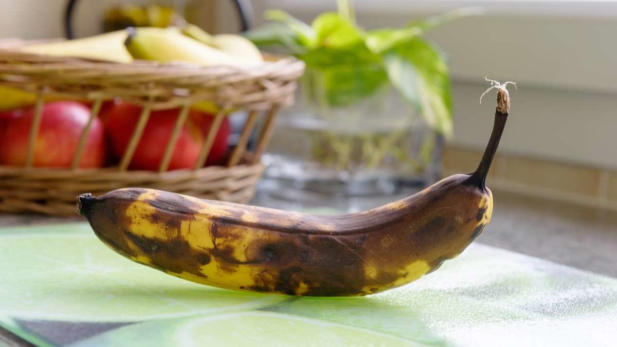 Comment conserver les bananes ? – Cuisine anti gaspi !