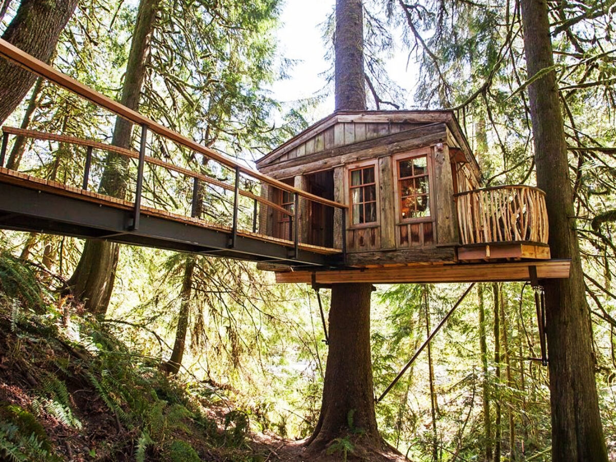  Buy Construire une cabane dans les arbres Book Online