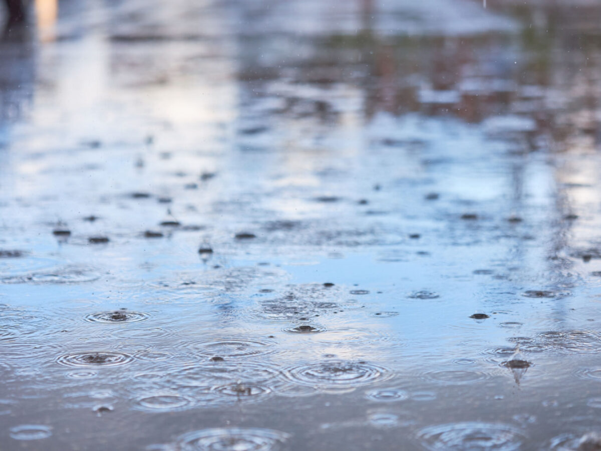 Mieux comprendre la qualité de votre eau avec un kit de test d'eau potable  16 e