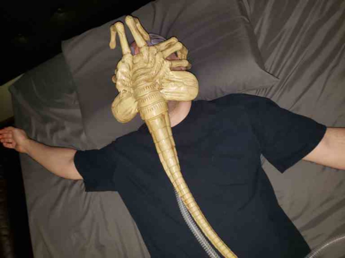 Facehugger cpap mask