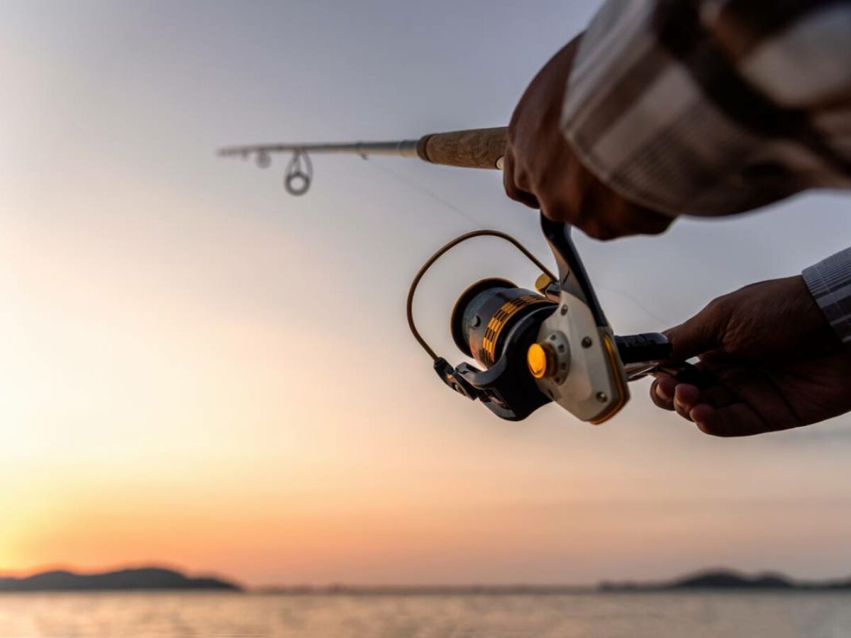 Débuter la pêche en mer : choisir le bon moulinet pour équiper sa