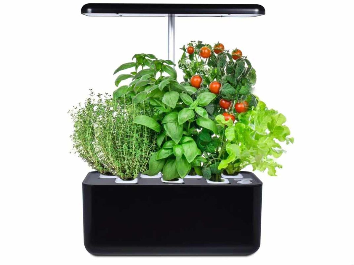 Faire pousser ses légumes à l'intérieur grâce à l'hydroponie