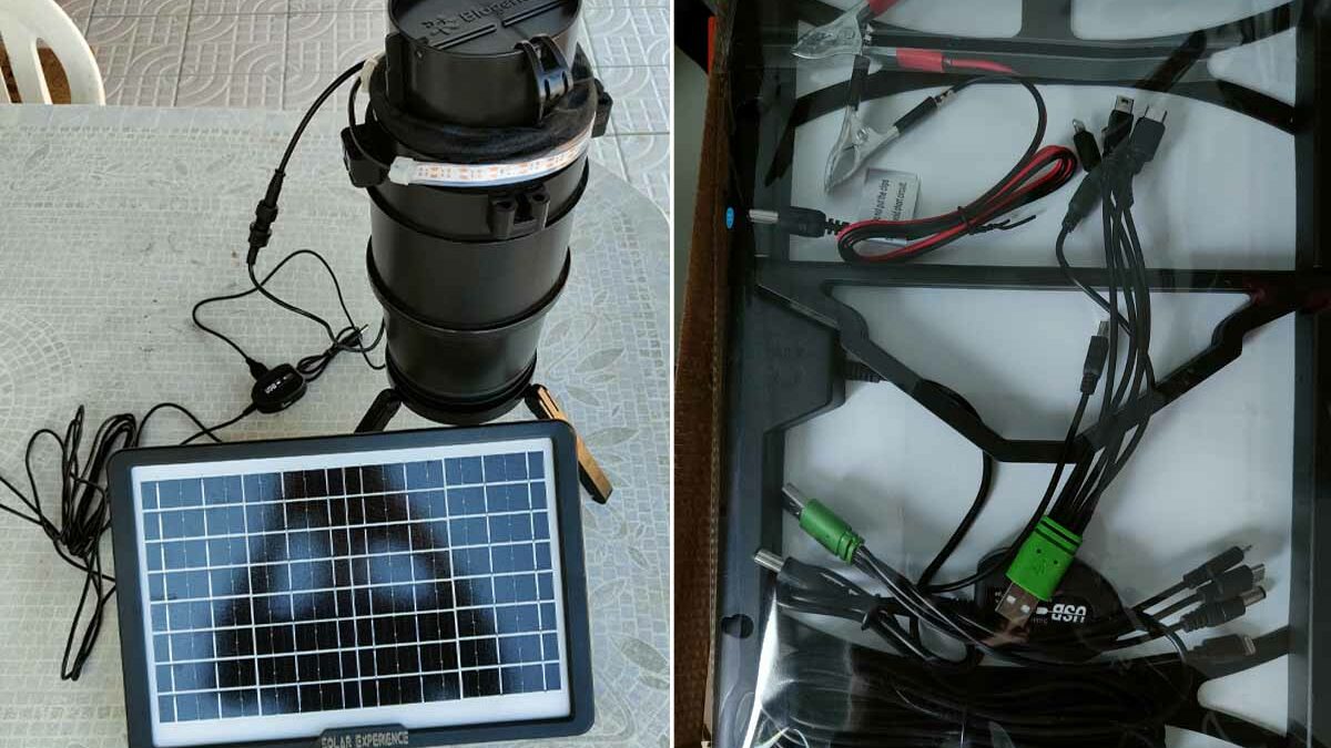 Agrivoltaïque : l'invention d'un panneau solaire semi-transparent qui  stimule la croissance des végétaux - NeozOne