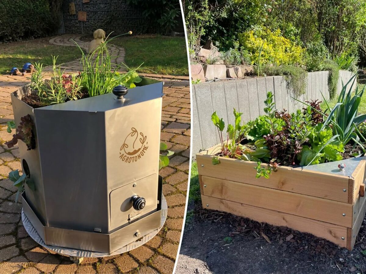 Jardins : il crée un potager-composteur autonome pour faire pousser ses  légumes et faire son compost en même temps