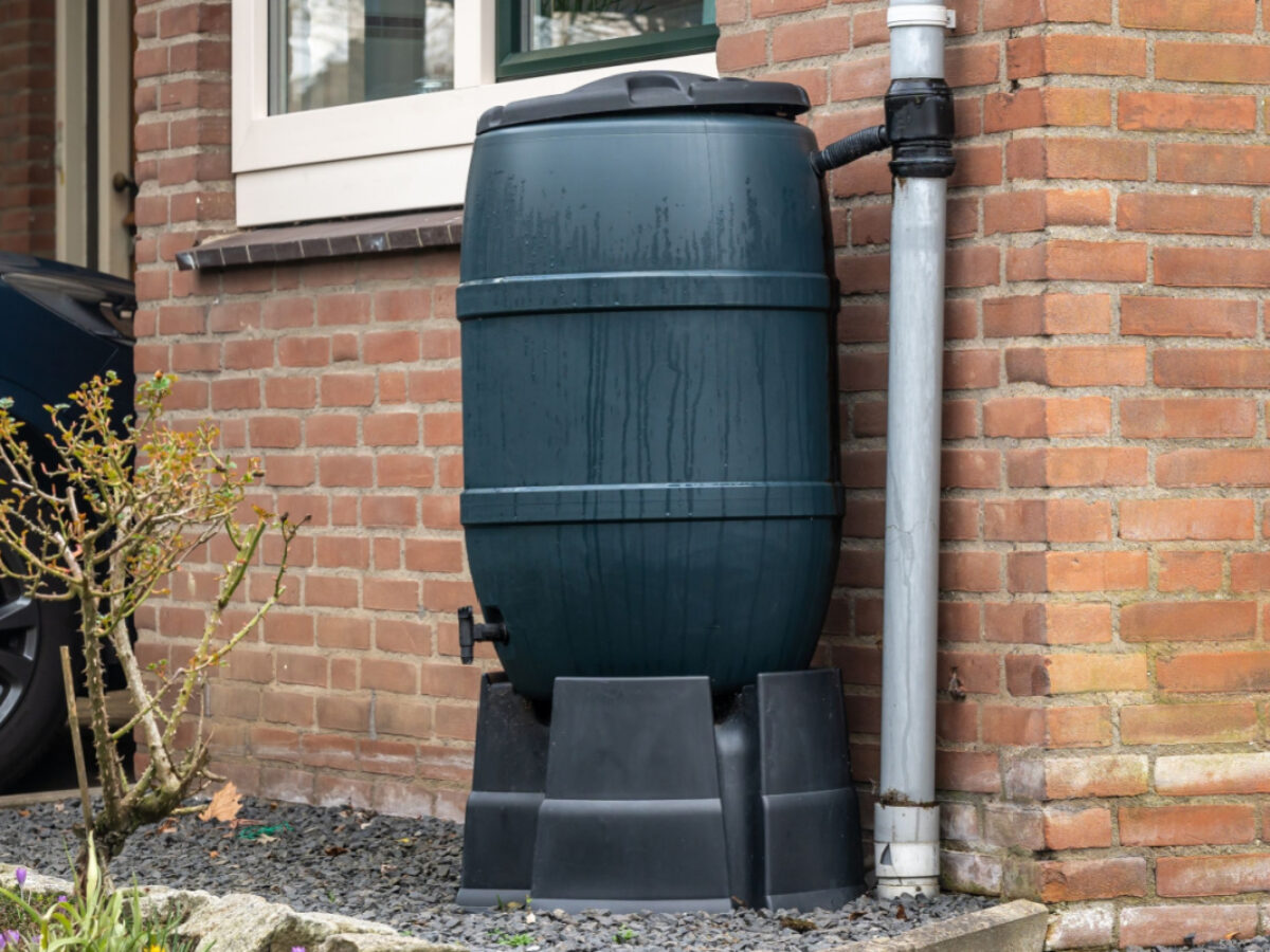 Installer un récupérateur d'eau de pluie : le guide – Blog BUT