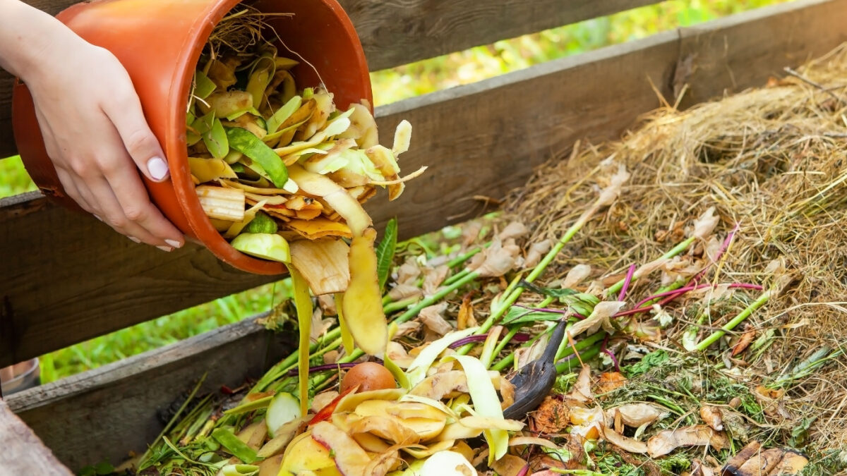 Comment trier ses déchets bruns pour le compost