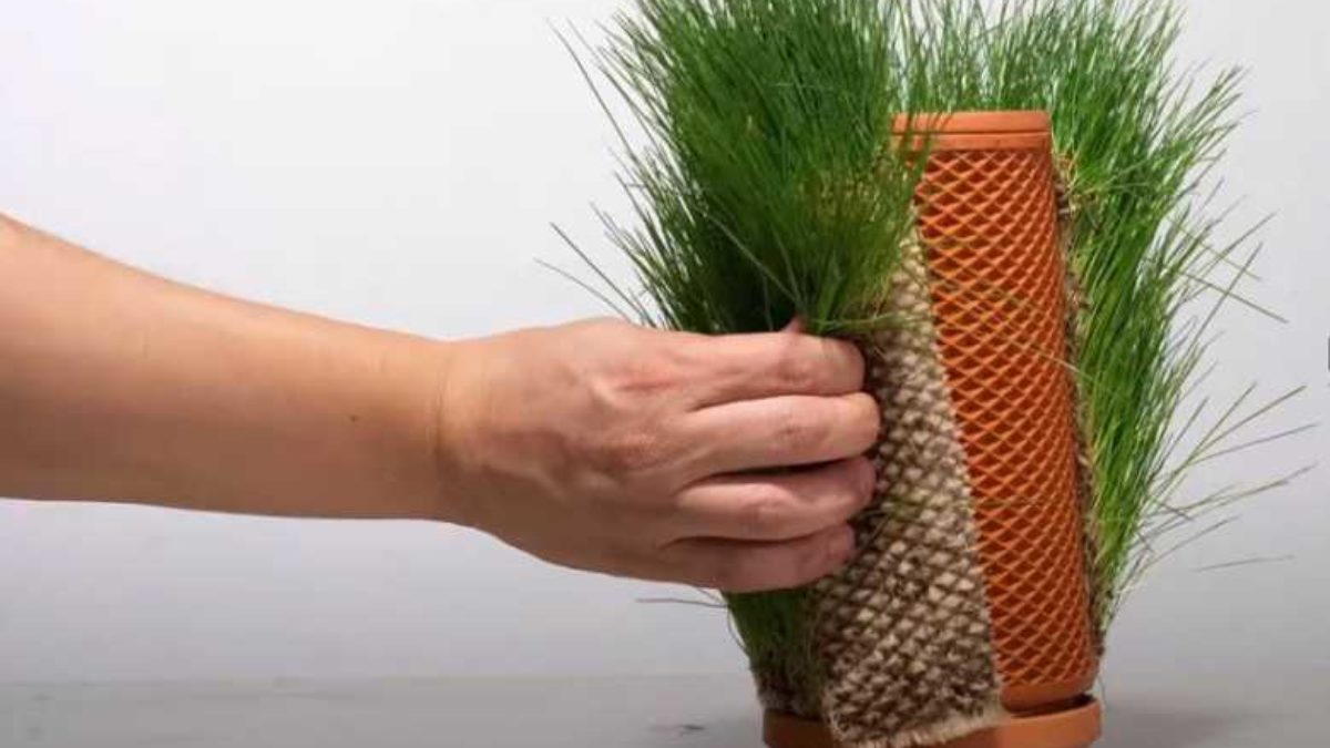 Faire pousser des plantes sans terre grâce à l'hydroponie - La Fabrique du  Mur Vegetal
