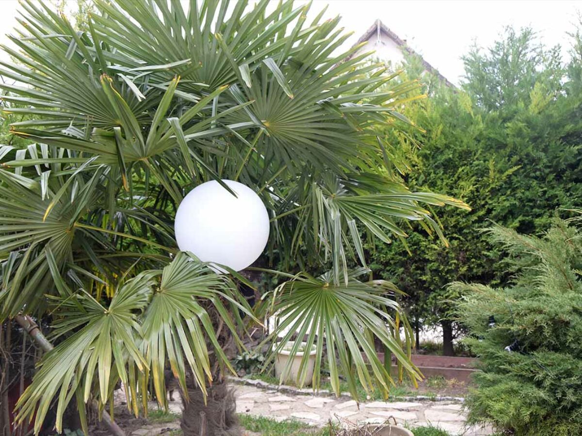 Guirlande guinguette solaire - Jardin et Saisons